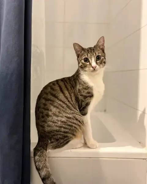 Frederick
