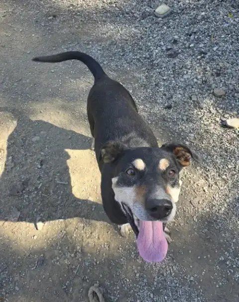 Rocket photo 2