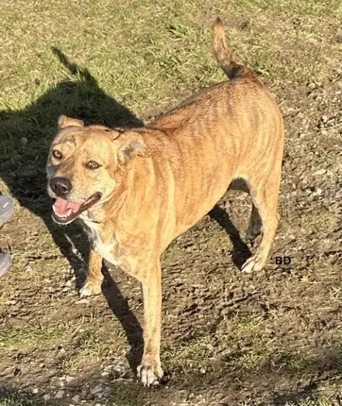 Winifred "Winnie" photo 5