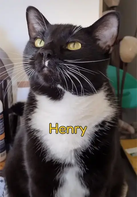Henry
