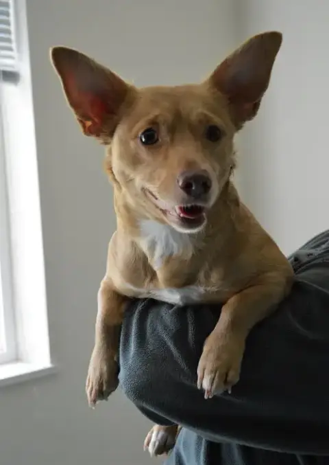 Mia