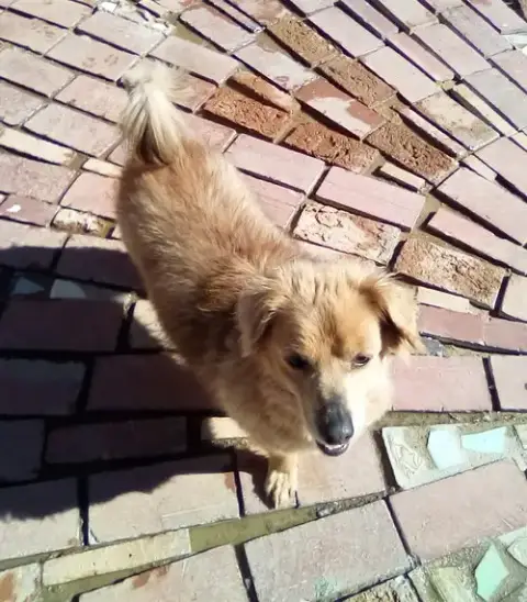 Arlo- See Buddy For Pure Red photo 3