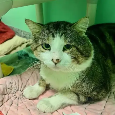 Ben