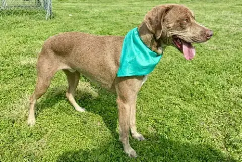 Buddy photo 4