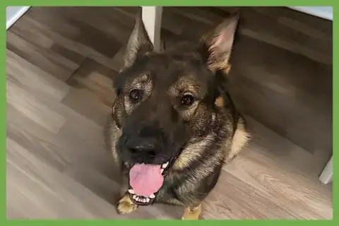 Ace