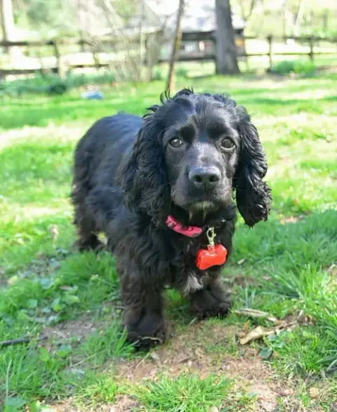 Bella