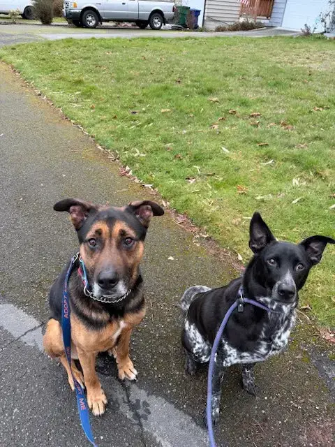 Ranger photo 3