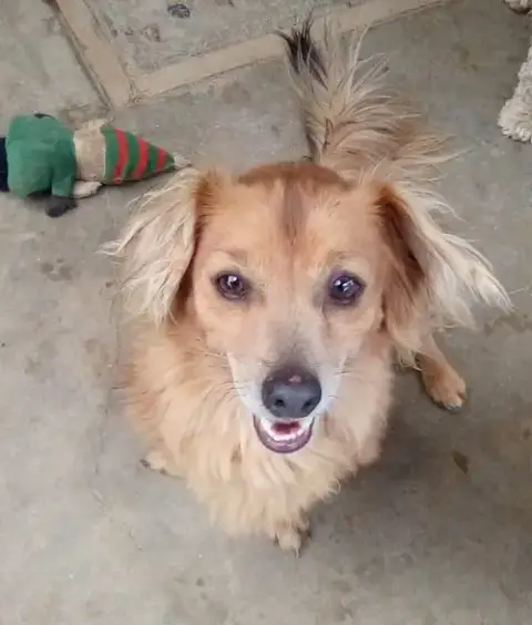 Arlo- See Buddy For Pure Red photo 4