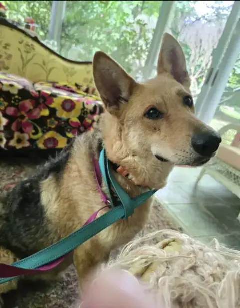 Sally photo 2