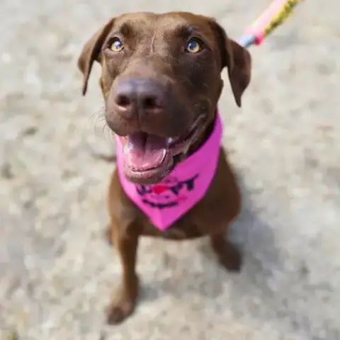 Zeraphina