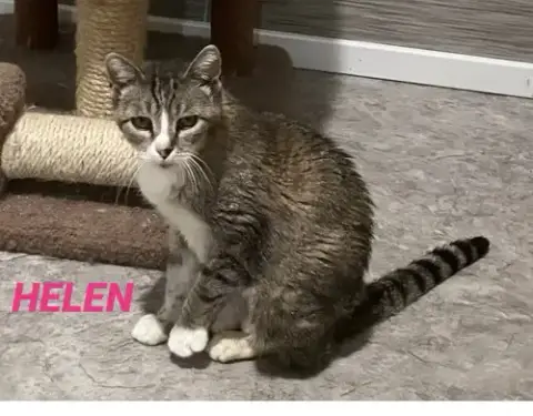 Helen