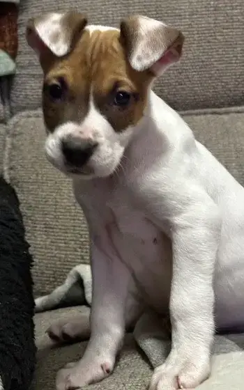 Elliott photo 3