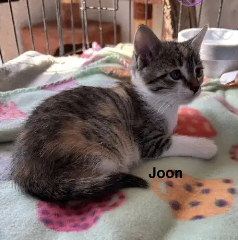 Joon & photo 2