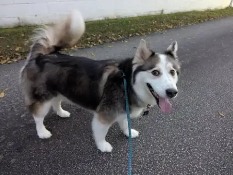 Luka