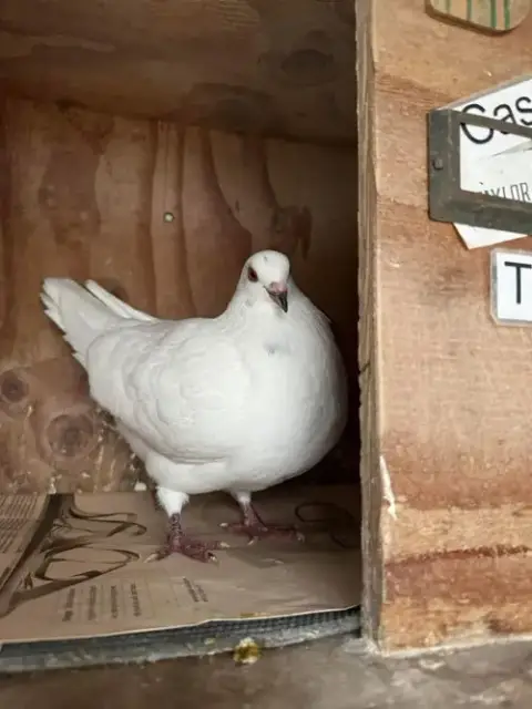 Casper W/Taylor