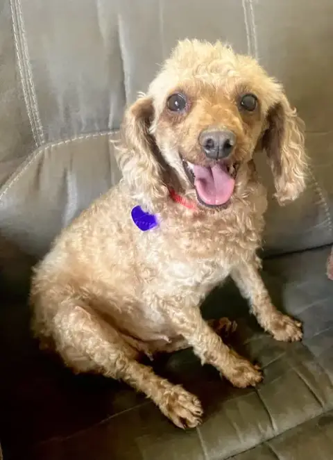 Sheila