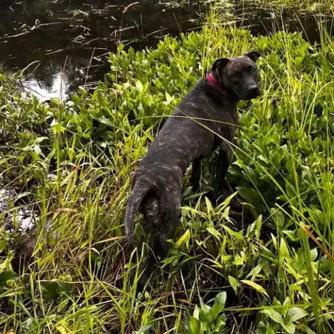 Sasha photo 3