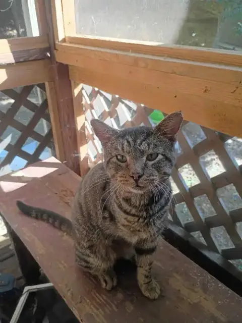 Earl photo 4