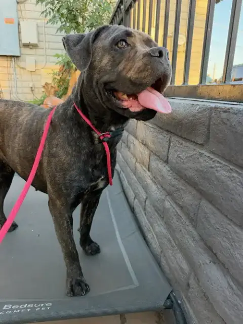 Zoe