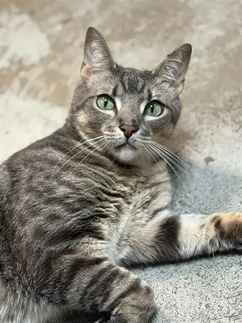 Milo