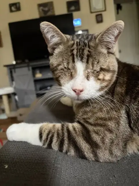 Francis: Blind