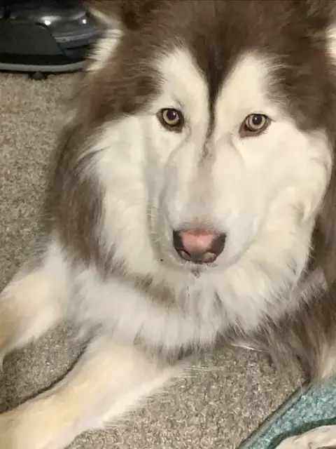 Jake photo 2