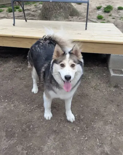 Luka photo 4