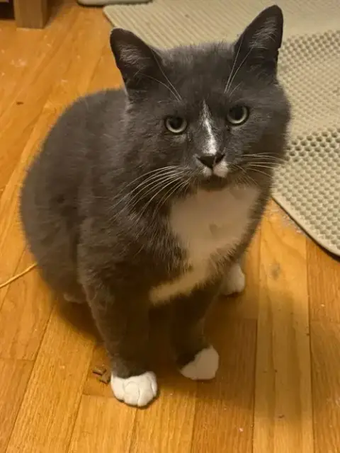 Stan