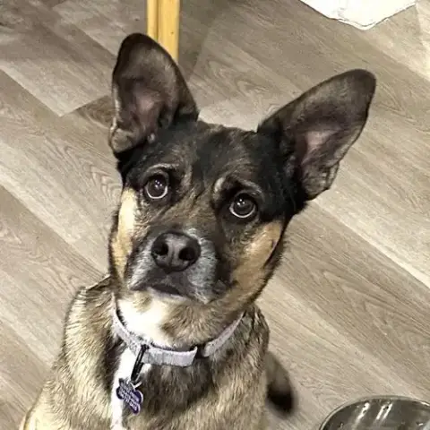 Luna photo 2