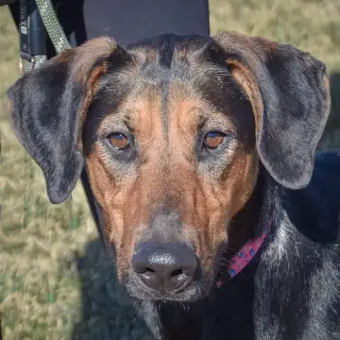 Tina