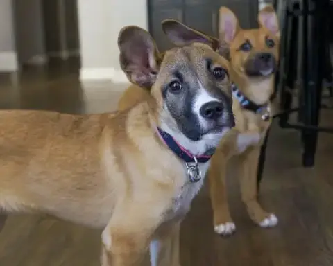 Fumie photo 4