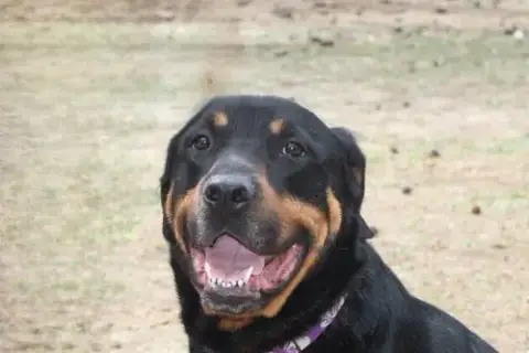 Reggie photo 3