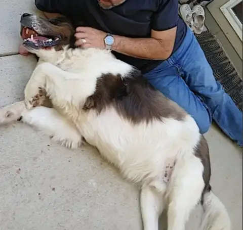 George photo 3