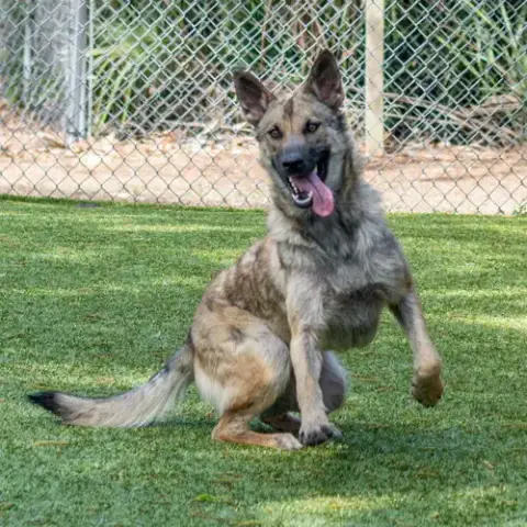 Maya photo 2
