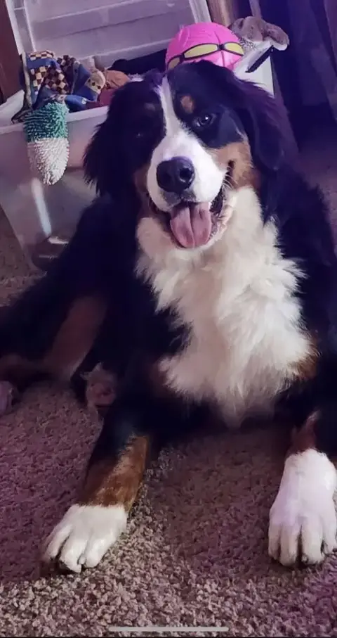 Max