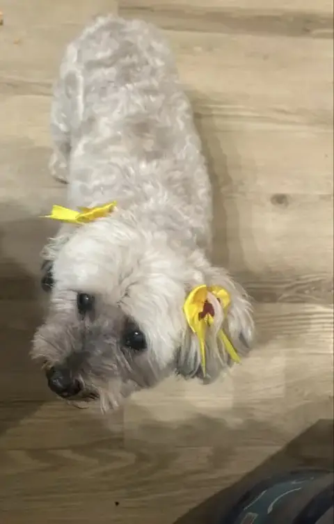 Chiquita photo 2