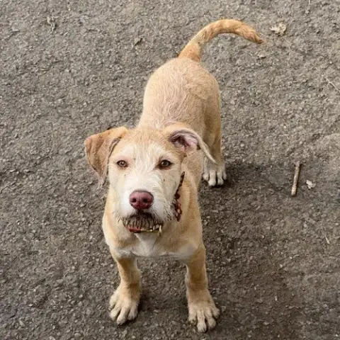 Mack photo 3