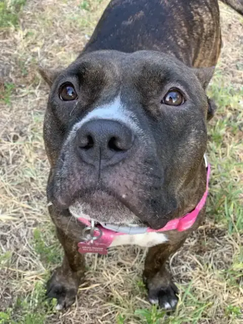 Lexi photo 3