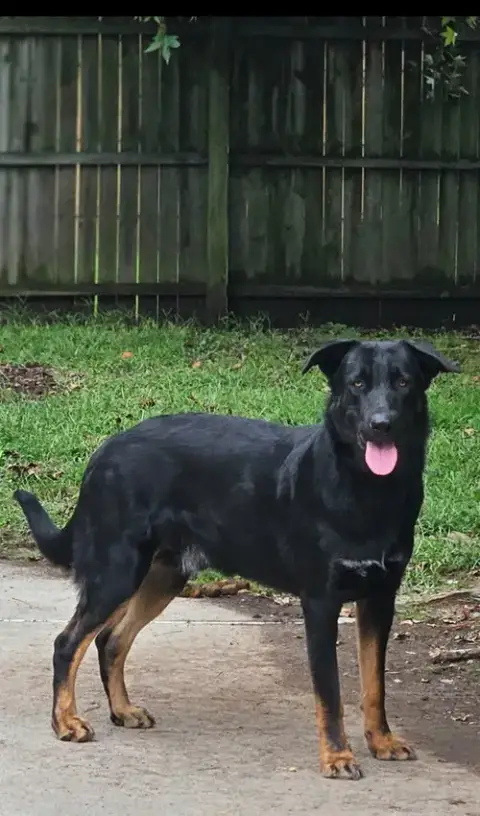 Riley