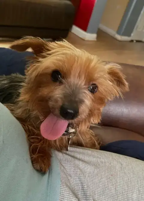Tilly photo 3