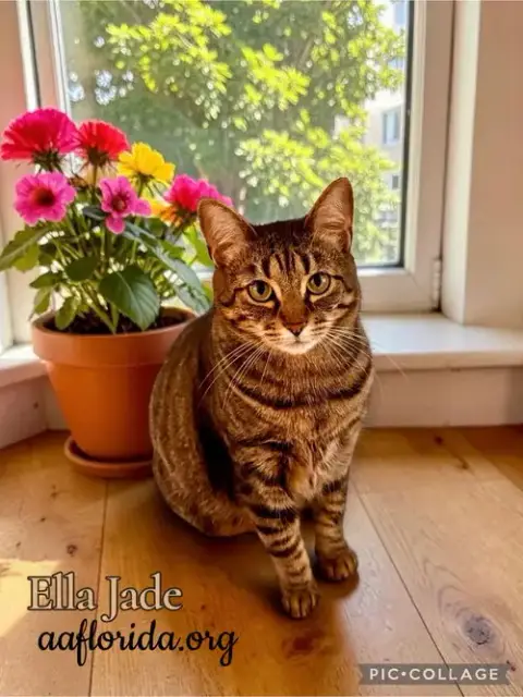 Ella Jade photo 2