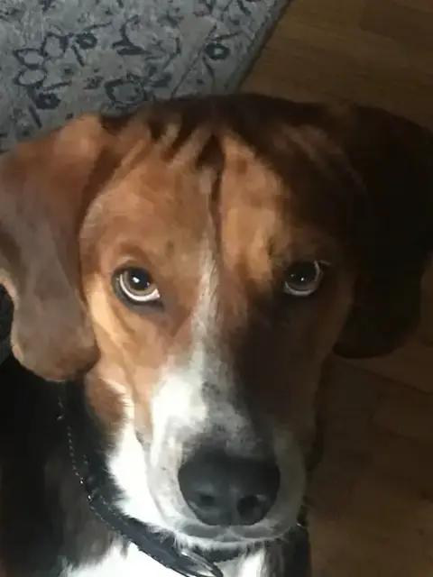 Murphy photo 2