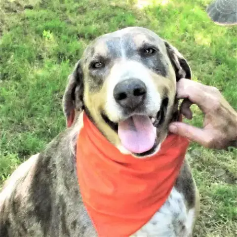 Duke