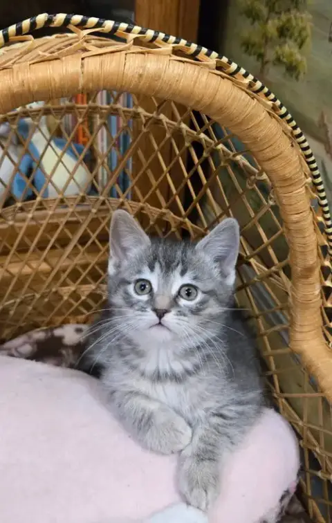Minnie