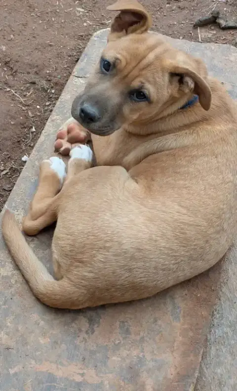 Courtesy Post...Bella