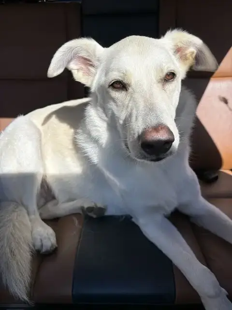 Ernest photo 2