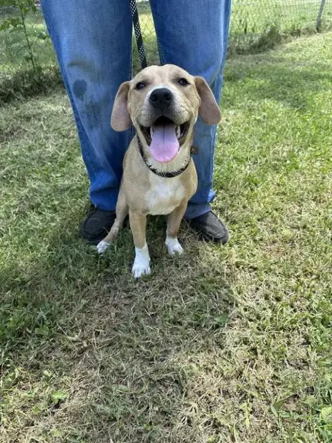 Willow photo 3