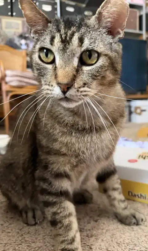 Bubba