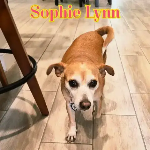 Sophie Lynn photo 3