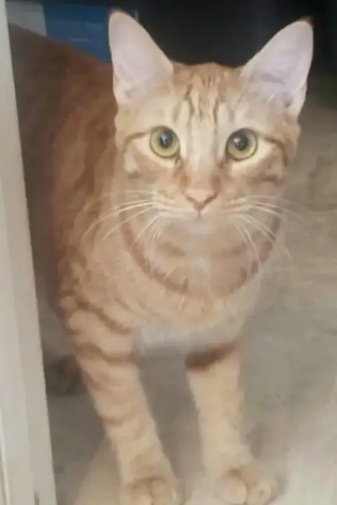 Ginger Boy #The-Sweetest photo 4